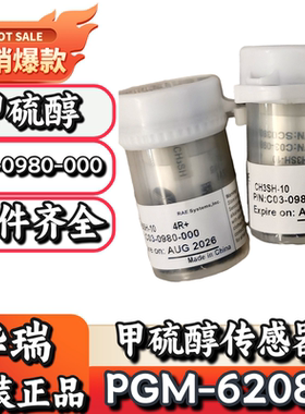 华瑞PGM-6208便携式气体检测仪C03-0980-000甲硫醇传感器