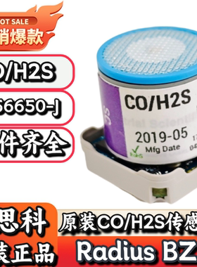 英思科Radius BZ1气体检测仪17156650-J一氧化碳硫化氢传感器