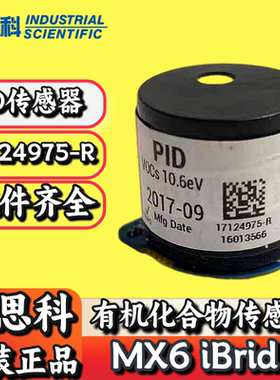 英思科MX6气体检测仪17124975-R光离子化有机化合物气体检测仪
