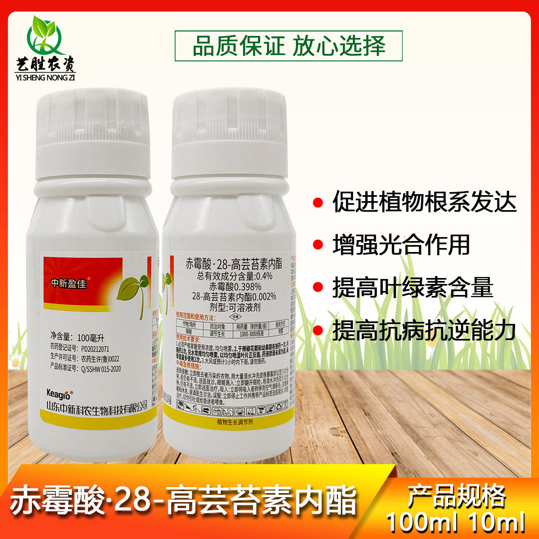 赤霉酸·28-高芸苔素内酯调节剂