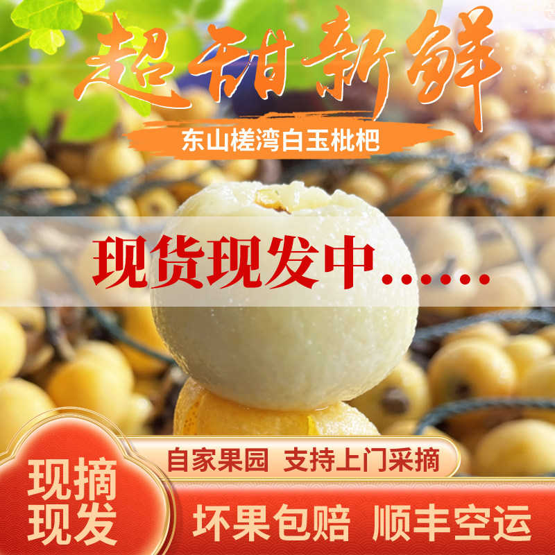 正宗超甜苏州东山白玉枇杷精选大果新鲜水果顺丰礼盒装现摘现发