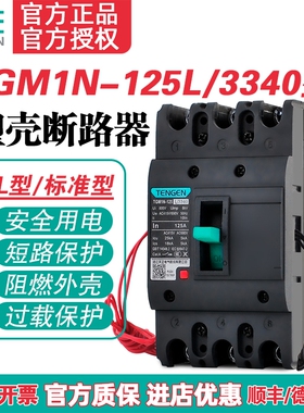 TENGEN天正TGM1N-125L/3340 125A塑壳断路器 125A空气开关3P 380V