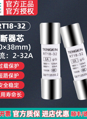 TENGEN天正 RT18-32熔断器熔芯 RT14芯子 R015 RO15 10*38M保险丝