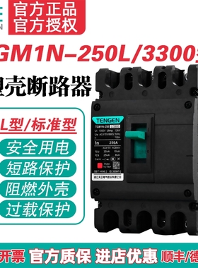 TENGEN天正电气 TGM1N-250L/3300 250A塑壳断路器225a空开200a 3P