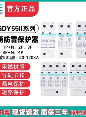 天正 TGDY55II11浪涌电涌保护器防雷避雷器2P/3P+N/4P 2040KA60KA