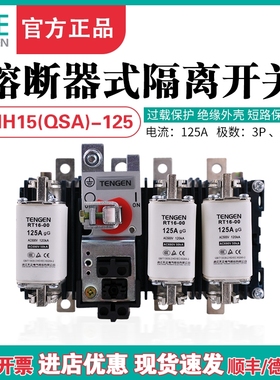 TENGEN天正HH15-125/30 31熔断器隔离开关QSA刀熔开关熔芯100A125