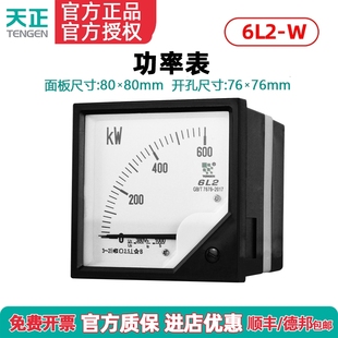 天正电气功率表仪表6L2-W指针式功率表600KW 1MW 1.5MW 6MW可定制