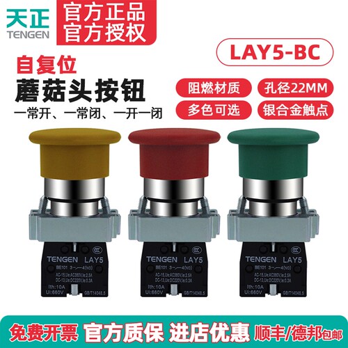 TENGEN天正LAY5-BC35 BC45 BC31蘑菇头按钮开关NP2自复位红绿22孔
