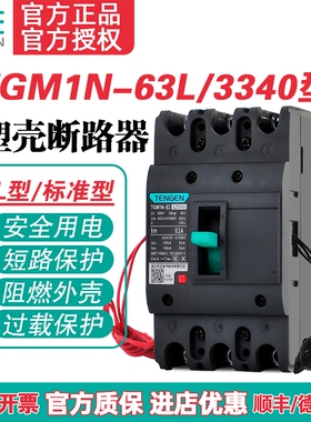 TENGEN天正TGM1N-63L/3340 63A塑壳断路器 63A空气开关3P 380V