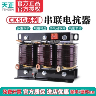 天正电气 TENGEN三相串联CKSG系列电容柜专用电抗无功补偿电抗器