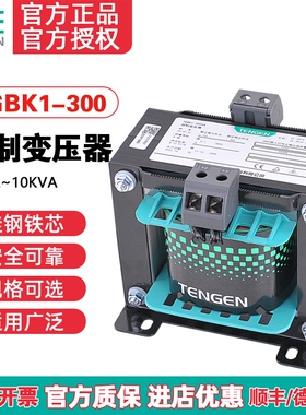 天正TGBK1-300VA隔离机床控制变压器交流380 220变220 110 36 24V