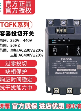 天正TGFK智能低压复合开关60A分补80A三相共补动态电容器投切开关