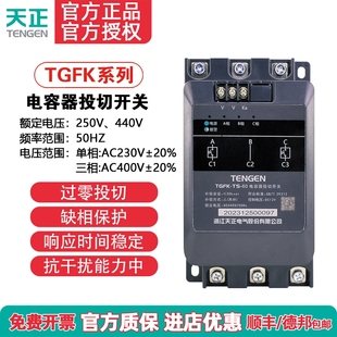 天正TGFK智能低压复合开关60A分补80A三相共补动态电容器投切开关