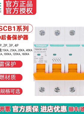 TENGEN天正TGSCB1电涌保护器开关
