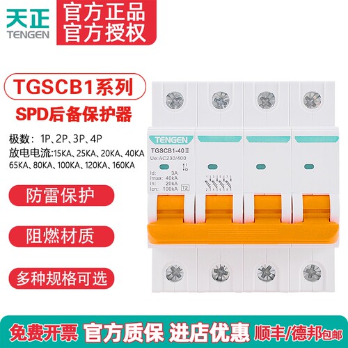 TENGEN天正TGSCB1电涌保护器开关