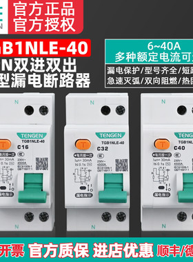TENGEN天正TGB1NLE-40双进双出DPN漏电保护器1P+N漏电断路家用