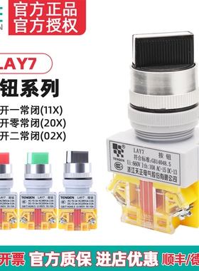 TENGEN天正 Y090 LAY7-11X/2 LAY7-20X/3 二档 三档旋钮 转换开关