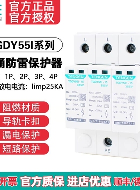 天正浪涌保护器TGDY55I避雷器4P三相防雷器15KA 25KA一级电涌380V