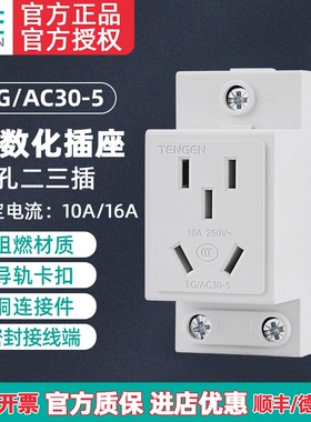 TENGEN天正 TG/AC30-5 10A模数化插座导轨式配电箱插座五孔二三插