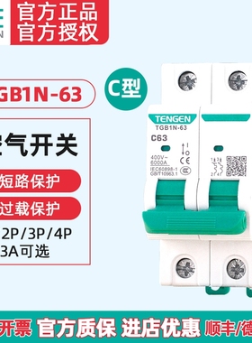 天正电器空气开关TGB1N/DZ47-32/63中间断路器1p3p2p电闸家用空开
