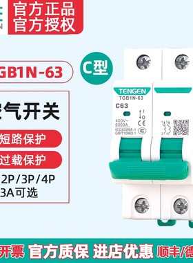天正电气TGB1N空气开关电闸