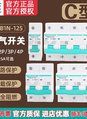 TENGEN天正TGB1N-125 1P 2P 3P 4P 100A 125A空气开关 DZ47升级款