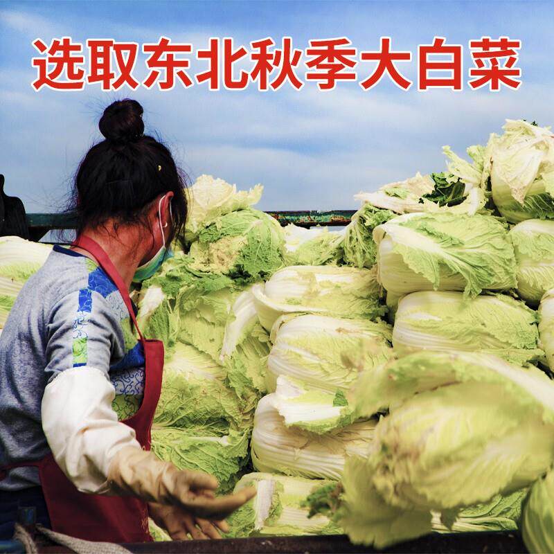 现货(0添加防腐剂)酸菜500g正宗东北特产酸菜水饺猪肉炖