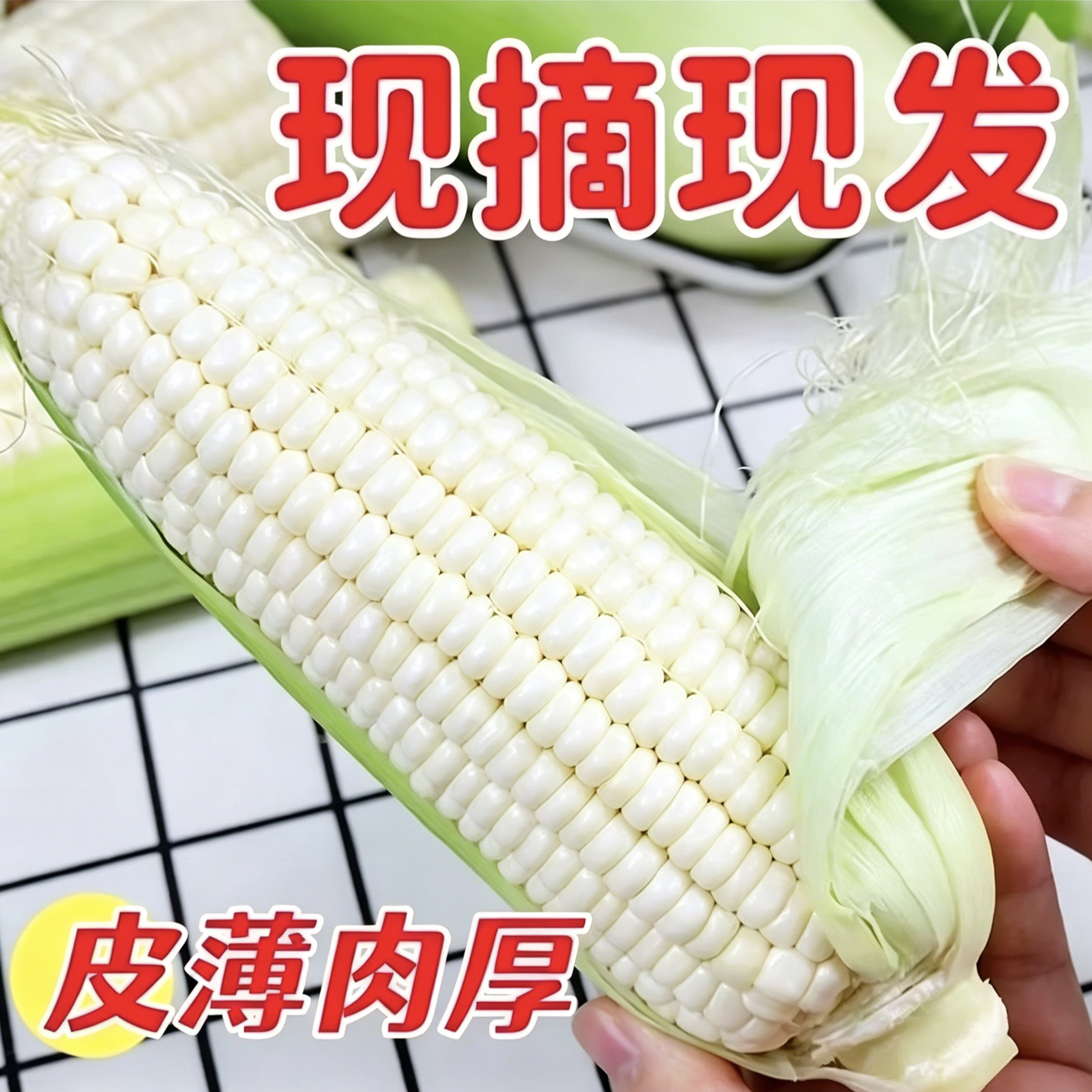 重庆高山糯玉米当季新鲜既甜又糯白粘糯现摘白糯玉米农家自种