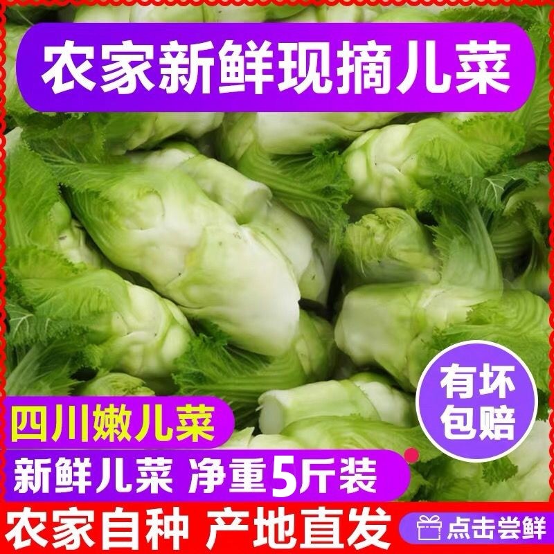 当季四川新鲜儿菜新鲜抱儿菜农家娃娃菜芥菜泡菜自种蔬菜整颗批发,水产肉类/新鲜蔬果/熟食,叶菜类,淘宝优惠券,粉丝福利购,淘宝优惠卷