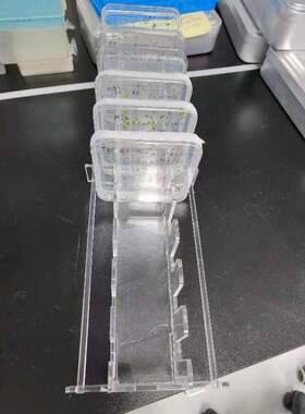 有机玻璃培养皿架10/5孔竖放10×10cm/13×13cm100*100mm