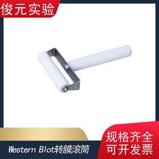 WesternBlot转膜滚筒WB滚轮蛋白转膜贴膜赶气泡硅胶滚子深孔板PCR