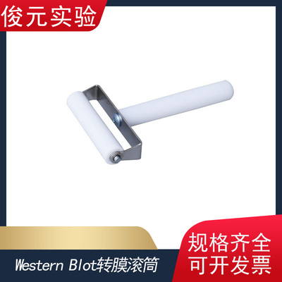 WesternBlot转膜滚筒WB滚轮