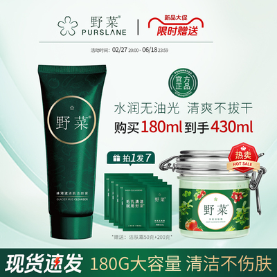 【正版】野菜冰河泥清肌洁颜膏层清洁霜泡沫女温和洗面奶深专柜
