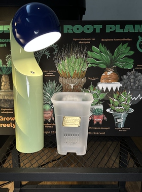 Masses m&m包豪斯观根沙生块根植物多肉布纹球黑科技控根透气花盆