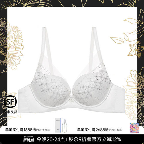 LaClover刺绣网纱小胸显大文胸