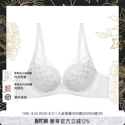 LaClover刺绣网纱小胸显大文胸