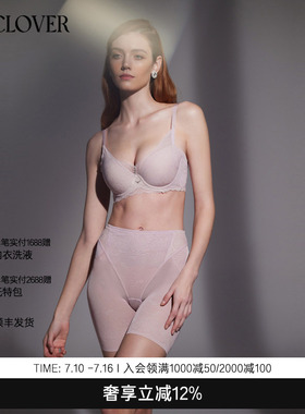 兰卡文魅力光影系列3/4洞洞杯文胸内衣小胸聚拢LC11XA1