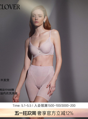 兰卡文魅力光影系列3/4洞洞杯文胸内衣小胸聚拢LC11XA1