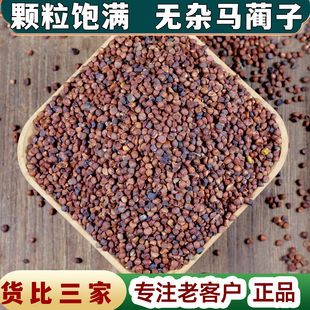 【任选3件包邮】马蔺子   中药材 马兰子 马莲子马楝子马帚子