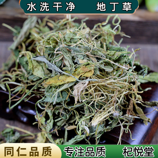 【任选3件包邮】紫花地丁中药材 地丁子 地丁草柴花苦地丁紫地丁