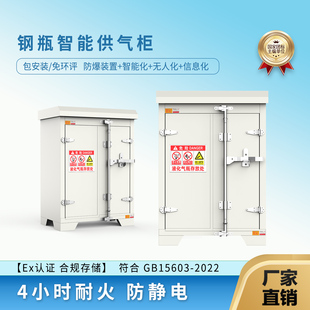企业专用防爆钢瓶柜液化气罐收纳柜户外可移动消防安检合规储存柜