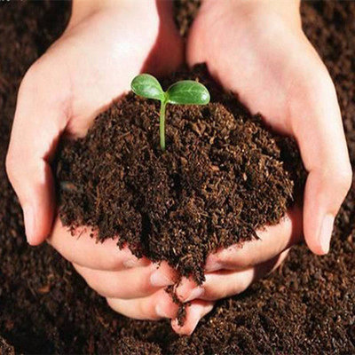 营养土椰砖花泥土壤种菜种植土花土家用养花通用型 - 封面