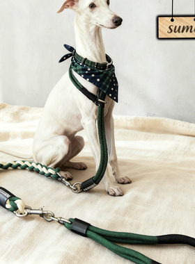 宠物多功能编织狗狗牵引绳三段式遛狗中大型防咬p链短牵狗绳金毛