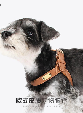 防水柔软皮质小狗狗高颜值胸背带宠物牵引绳套装轻奢小型犬遛狗绳