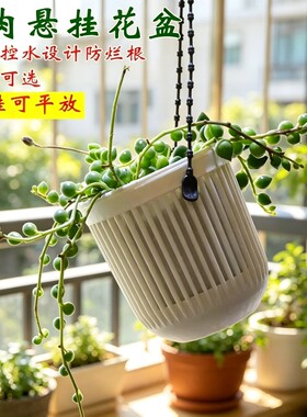 塑料可垂吊可壁挂长久耐用