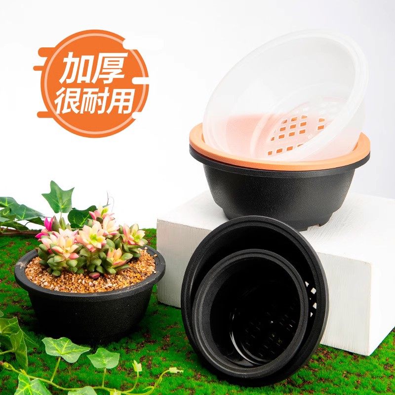 多肉塑料花盆磨砂大口景天控根盆