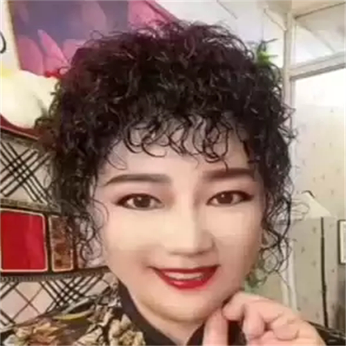 女士羊毛卷蓬松补发中老年补发
