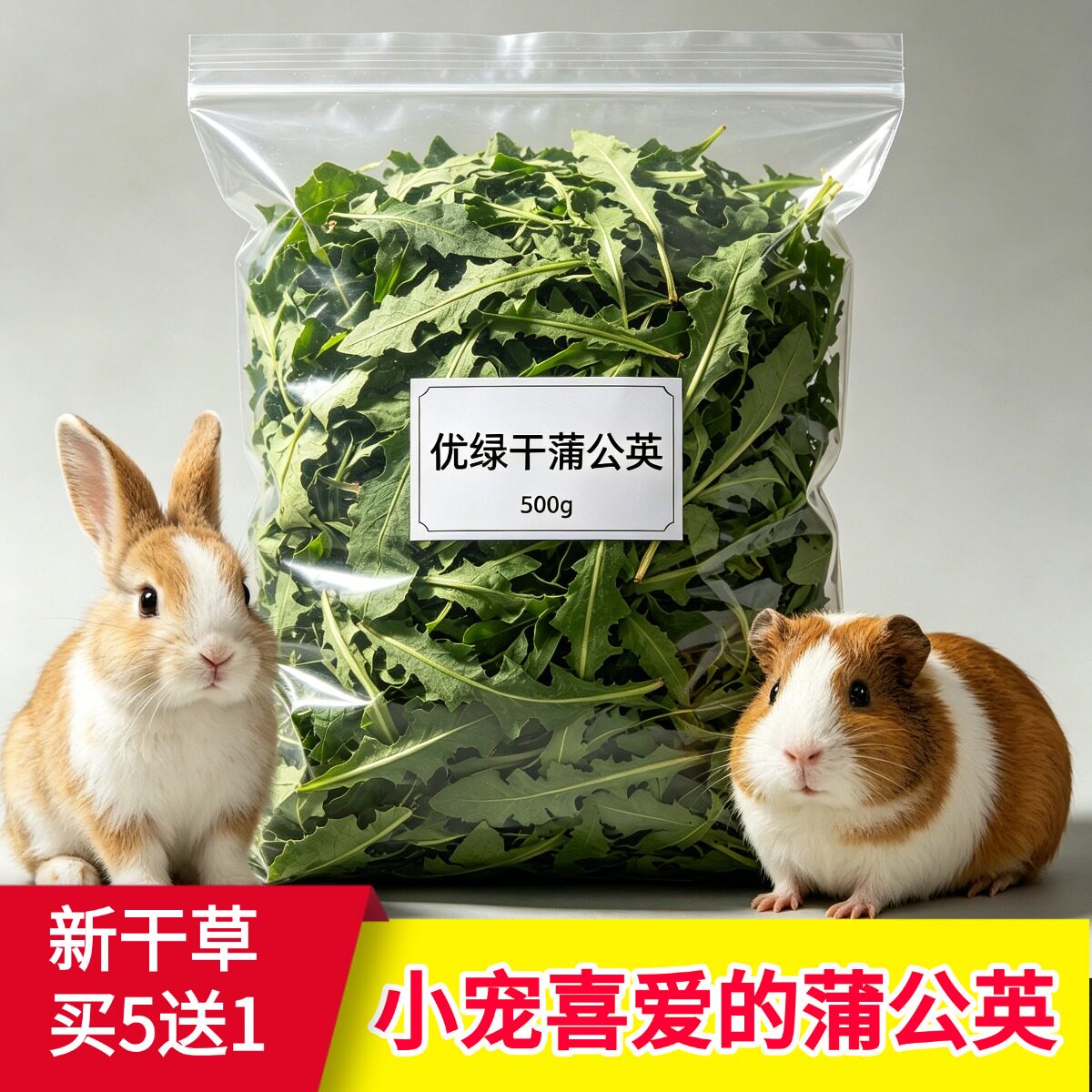 2026年新货烘干蒲公英干草兔子零食草龙猫荷兰猪豚鼠辅助牧草