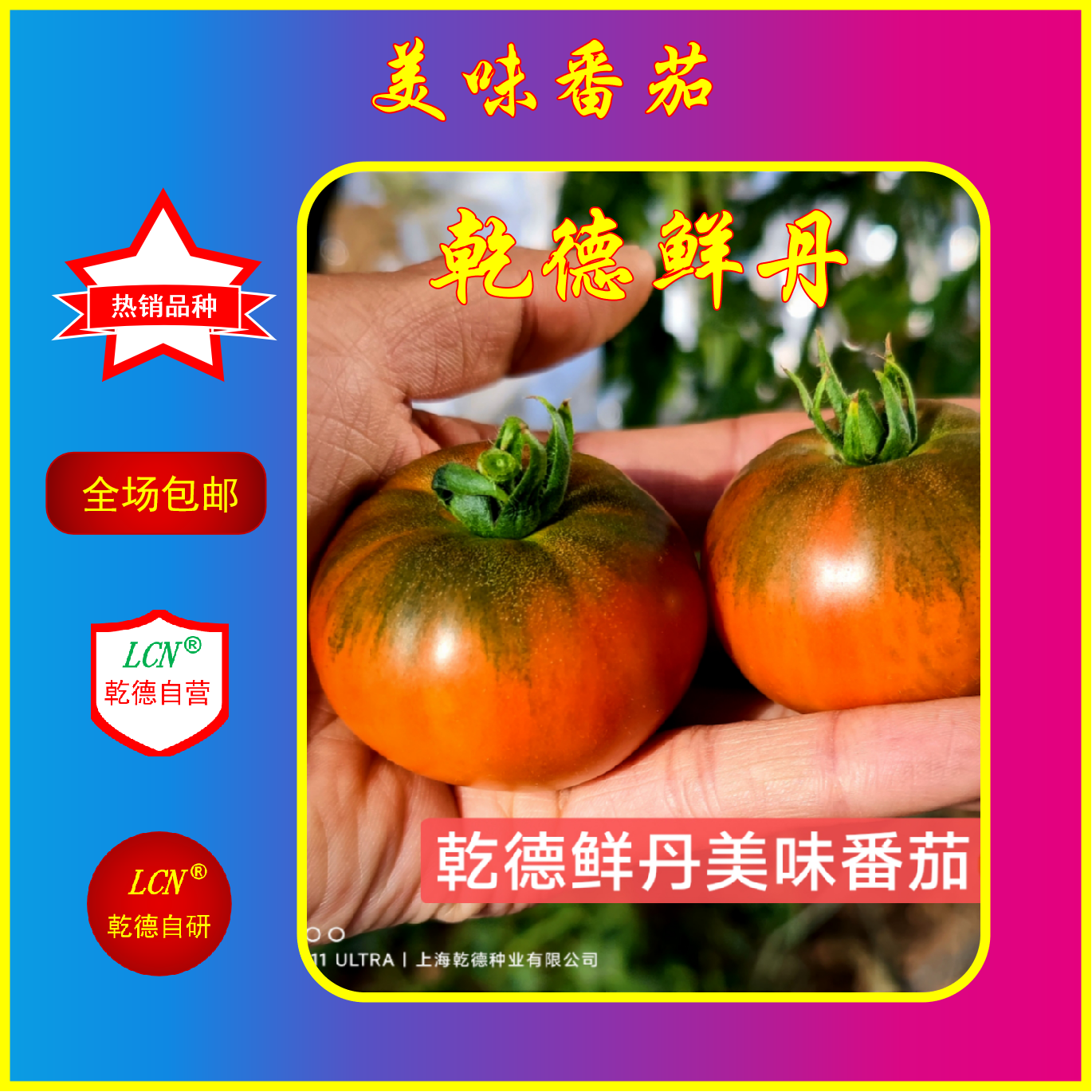 乾德鲜丹美味番茄种子