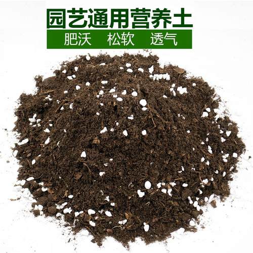 种花通用型种菜泥炭土